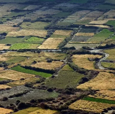 1453907865429500.jpg 1453907865429500.jpg